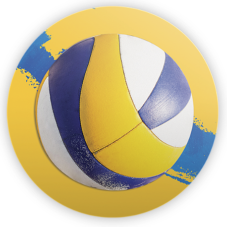 Capa Painel Redondo Sublimado - Volei