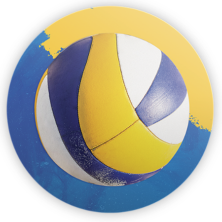 Capa Painel Redondo Sublimado - Volei