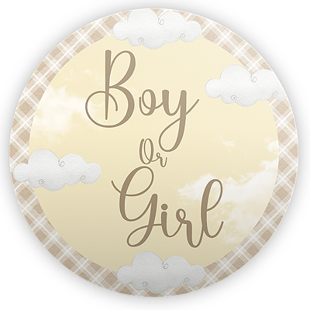 Capa Mini Painel Sublimado - Chá Revelação Girl or Boy