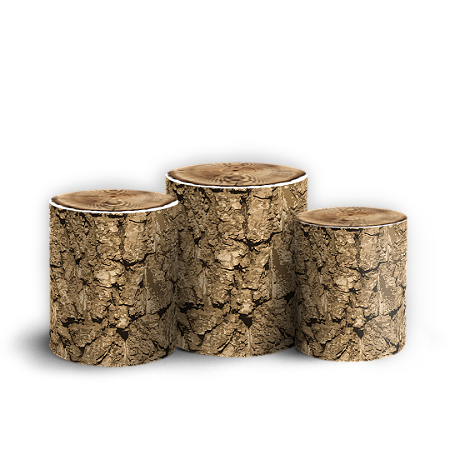 Capas Trio Cilindro Sublimado Vest Facil - Sininho Tinkerbell