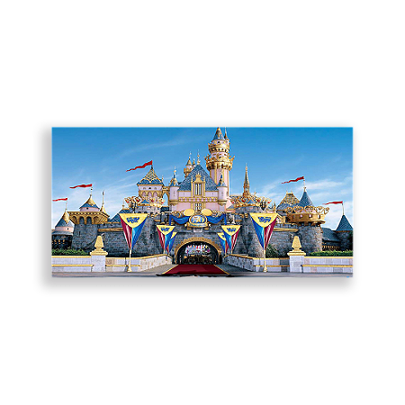 Capa Painel Retangular Sublimado - Castelos