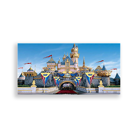Capa Painel Retangular Sublimado - Disney Castelos