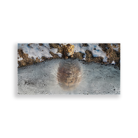 Capa Painel Retangular Sublimado - Mufasa