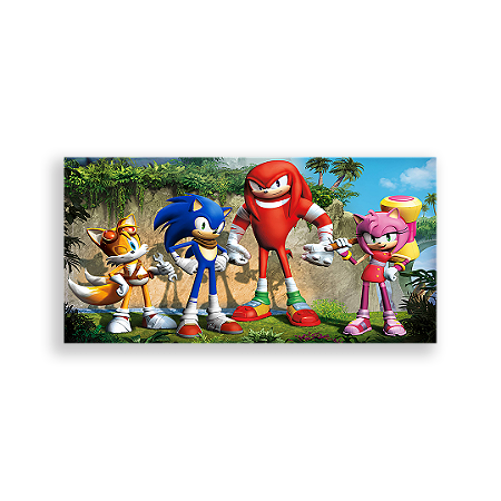 Capa Painel Retangular Sublimado - Sonic
