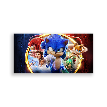 Capa Painel Retangular Sublimado - Sonic