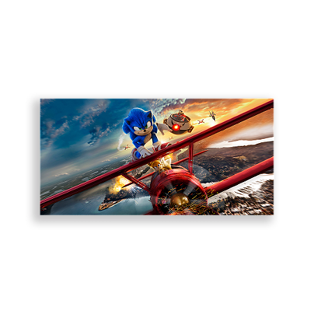 Capa Painel Retangular Sublimado - Sonic