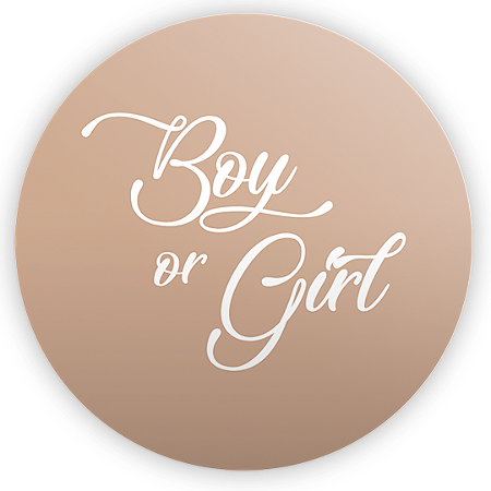 Capa Mini Painel Sublimado - Revelação