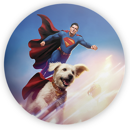 Capa Painel Redondo Sublimado - Superman