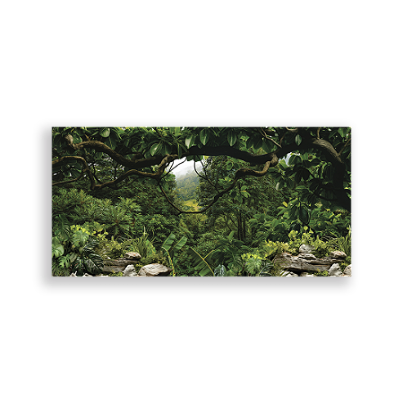 Capa Painel Retangular Sublimado - Fundo-Floresta-Dinossauro