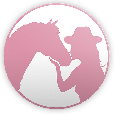 Capa Mini Painel Sublimado - Boiadeira Cavalo