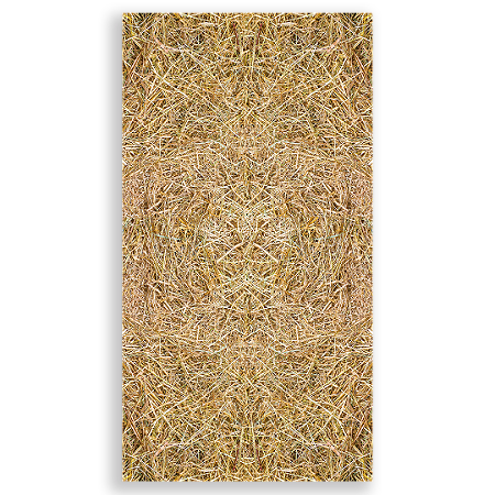 Capa Faixa Lateral Sublimado - Fazendinha