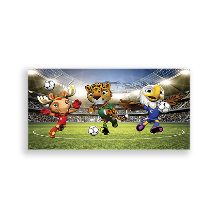 Capa Painel Retangular Sublimado - Copa Do Mundo