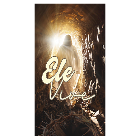 Capa Faixa Lateral Sublimado - Pascoa