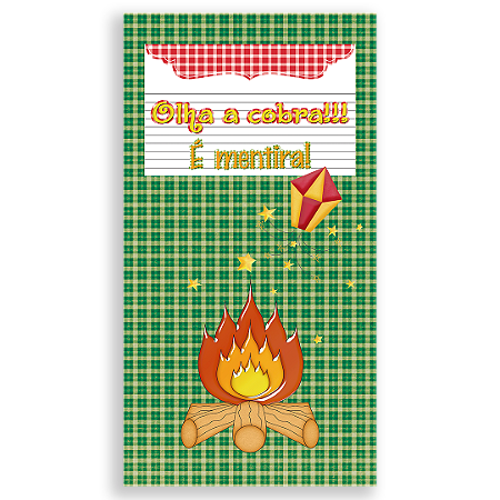 Capa Faixa Lateral Sublimado - Festa Junina