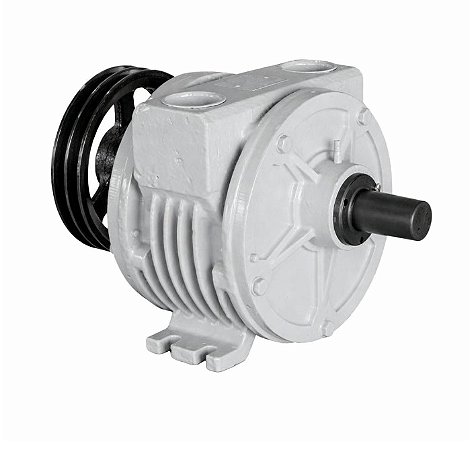 Bomba de Vácuo 600 Triunfo