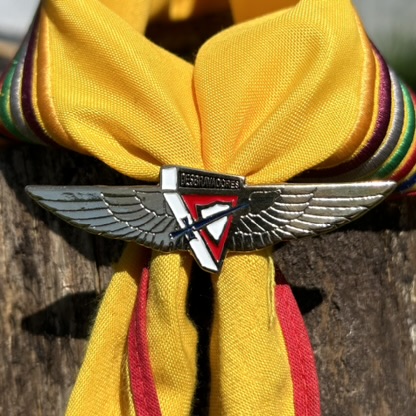 Arganéu/Prendedor de lenço, Logo DBV com asas