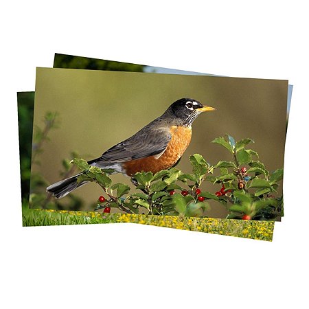 Papel Fotográfico Glossy 120g A4 Resistente à Água - 20 fls