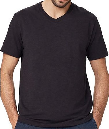 Camiseta Básica Masculina Com Decote V Hering