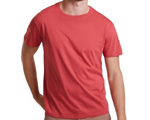 Camiseta Masculina Básica Malwee