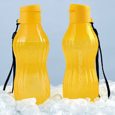 Eco Tupper Freezer 450 ml Papaia