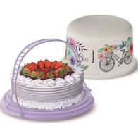 Big Cake Florida
