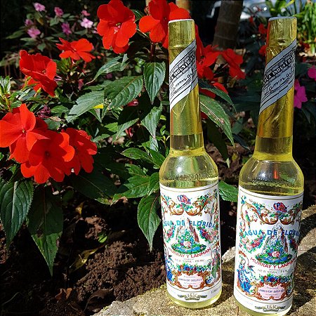 Água de Florida Grande 270ml