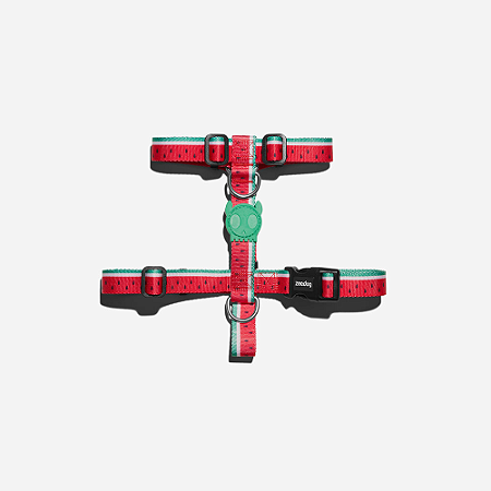 Peitoral para Cachorros H Lola ZeeDog