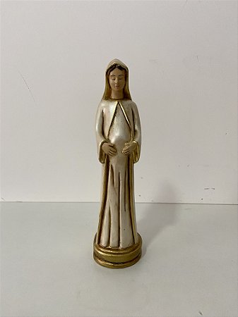 Imagem de Nossa Senhora Grávida 23cm Coleção OURO