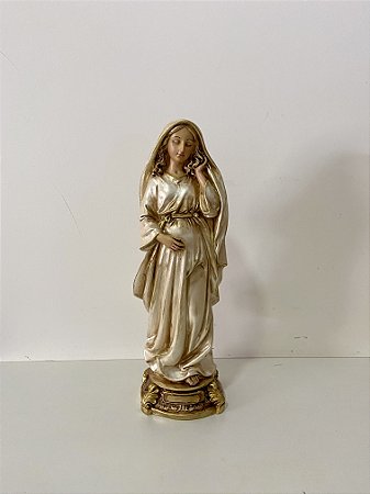 Imagem de Nossa Senhora Grávida 30cm Coleção OURO