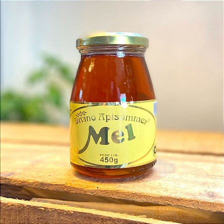 Mel Divino Apisommer - 450g