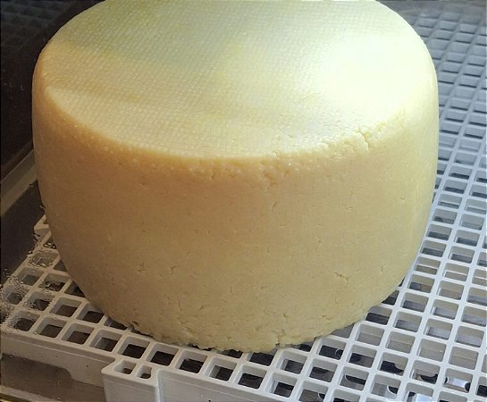 PECORINO *PRODUÇÃO EXCLUSIVA COM LEITE DE OVELHA*