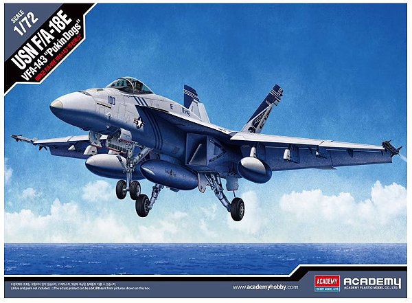 Academy - USN F/A-18E VFA-143 "Pukin Dogs" - 1/72