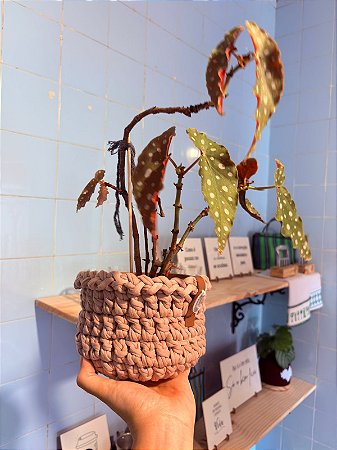 Cachepo rosê crochê