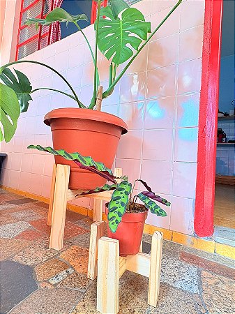 DUPLA DE SUPORTE PARA PLANTAS PINUS