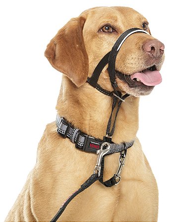 Coleira halti Clearance