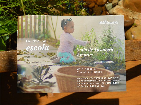 Um Dia Na Escola  - Atelie Carambola