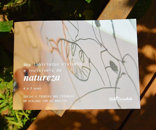 Nos Labirintos Visíveis E Invisíveis Da Natureza: 4 A 5Anos - Atelie Carambola