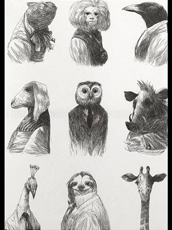 Vida Animal - Moraes, Odilon