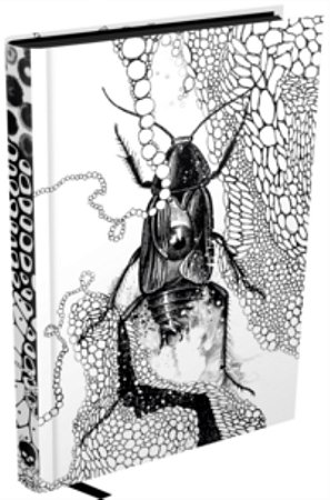 A Metamorfose - Kafka, Franz