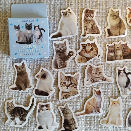 Caixinha de Adesivos Gatinhos  45pçs