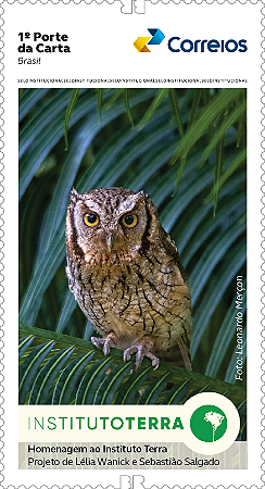 2025 COP30 Institucional Fundação Terra Coruja autoadesivo