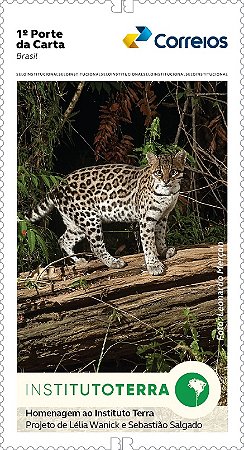 2025 COP30 Institucional Fundação Terra Jaguatirica autoadesivo