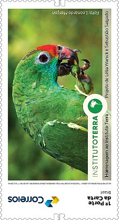 2025 COP30 Institucional Fundação Terra Periquito autoadesivo