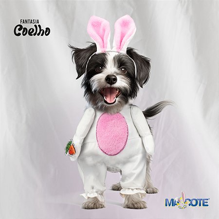 Ref. 01 - Fantasia Coelho