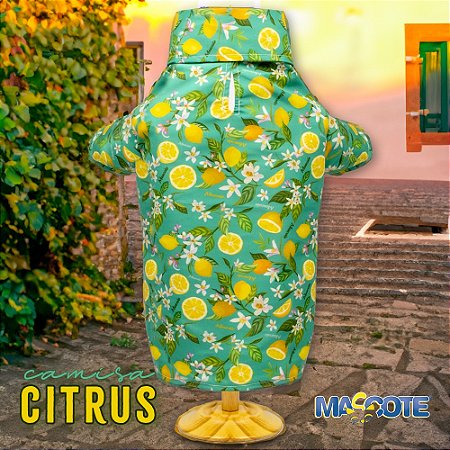 Ref 911 CAMISA CITRUS