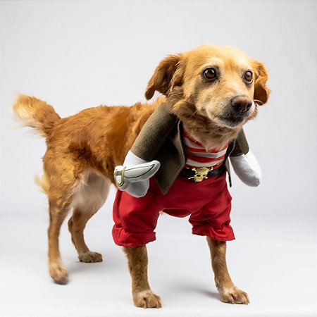 REF.392 - FANTASIA PIRATA