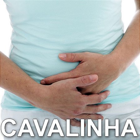 CAVALINHA (Elimina substâncias tóxicas ) 250 mg