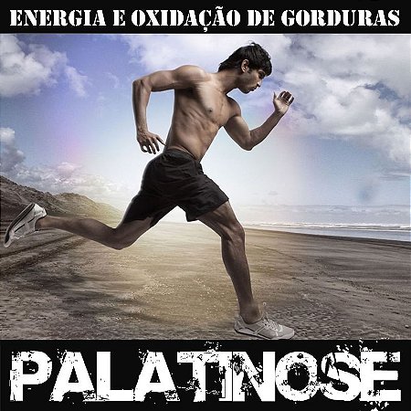 Palatinose (Fornece Energia por mais tempo) 15G - 20 Saches