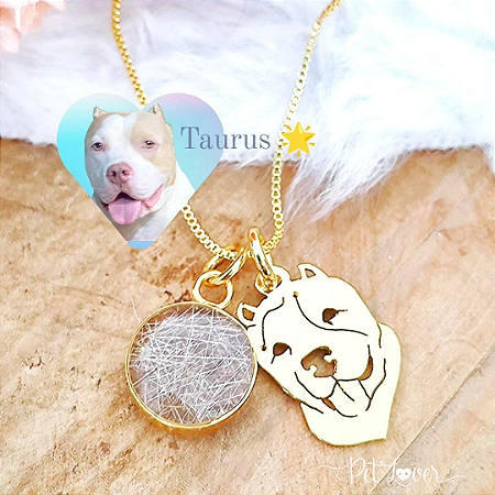 Colar Carinha Pet + Pingente Pelinhos Banhado a Ouro