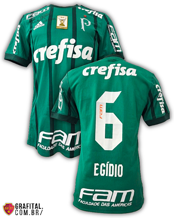 Palmeiras 2017 Tamanho M 72x46cm